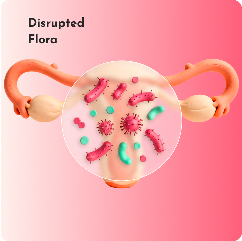 Disrupted Flora