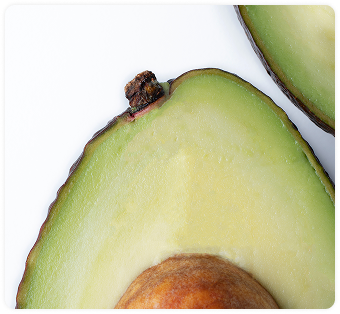 Aloe vera plant representing hydrating and soothing ingredient in Salt.xo® gel